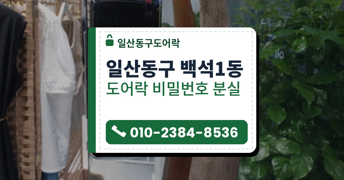 일산동구 백석1동 도어락 비밀번호 분실 — 일산동구도어락 안내 그림
